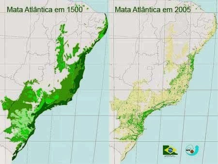 Além do fator das queimadas de coivara, da expansão monocultora dos canaviais, o avanço do desmatamento praticado nestes séculos de ocupação, levou quase a extinção do bioma da Mata Atlântica. Além do fator das queimadas de coivara, da expansão monocultora dos canaviais, o avanço do desmatamento praticado nestes séculos de ocupação, levou quase a extinção do bioma da Mata Atlântica.